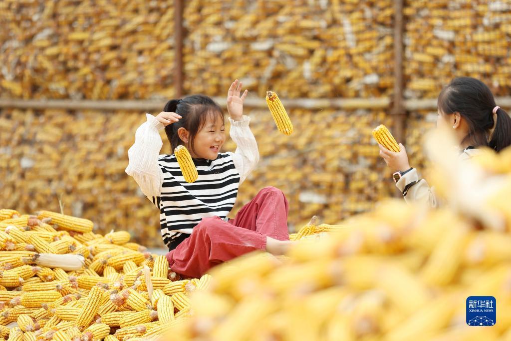 微信怎么免费领100元